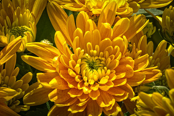 QN1A6822-Edit-Edit