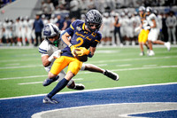 Varsity Lone Star