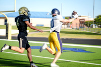 JV
