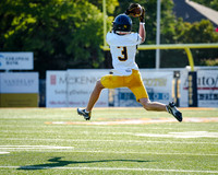 Gold vs Lewiville