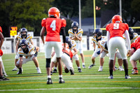 Gold vs Rockwall