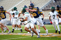 Blue vs Naaman Forest