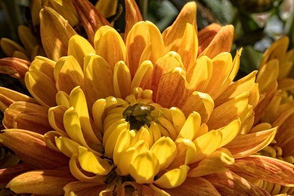 QN1A6889-Edit